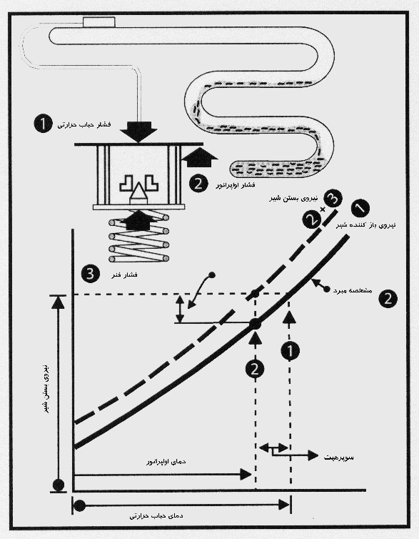 عیوب متداول در شیر انبساط ترموستاتیکی