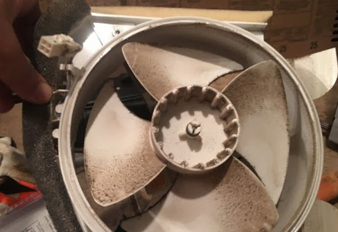 صداهایی که از پشت یخچال شنیده میشوند